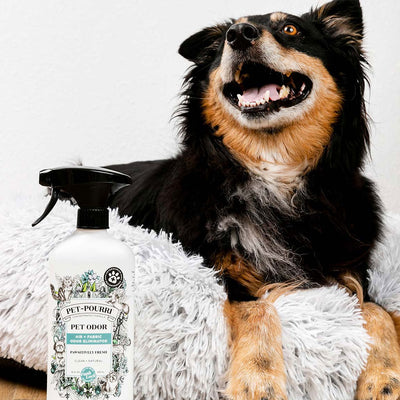 Pet-Pourri