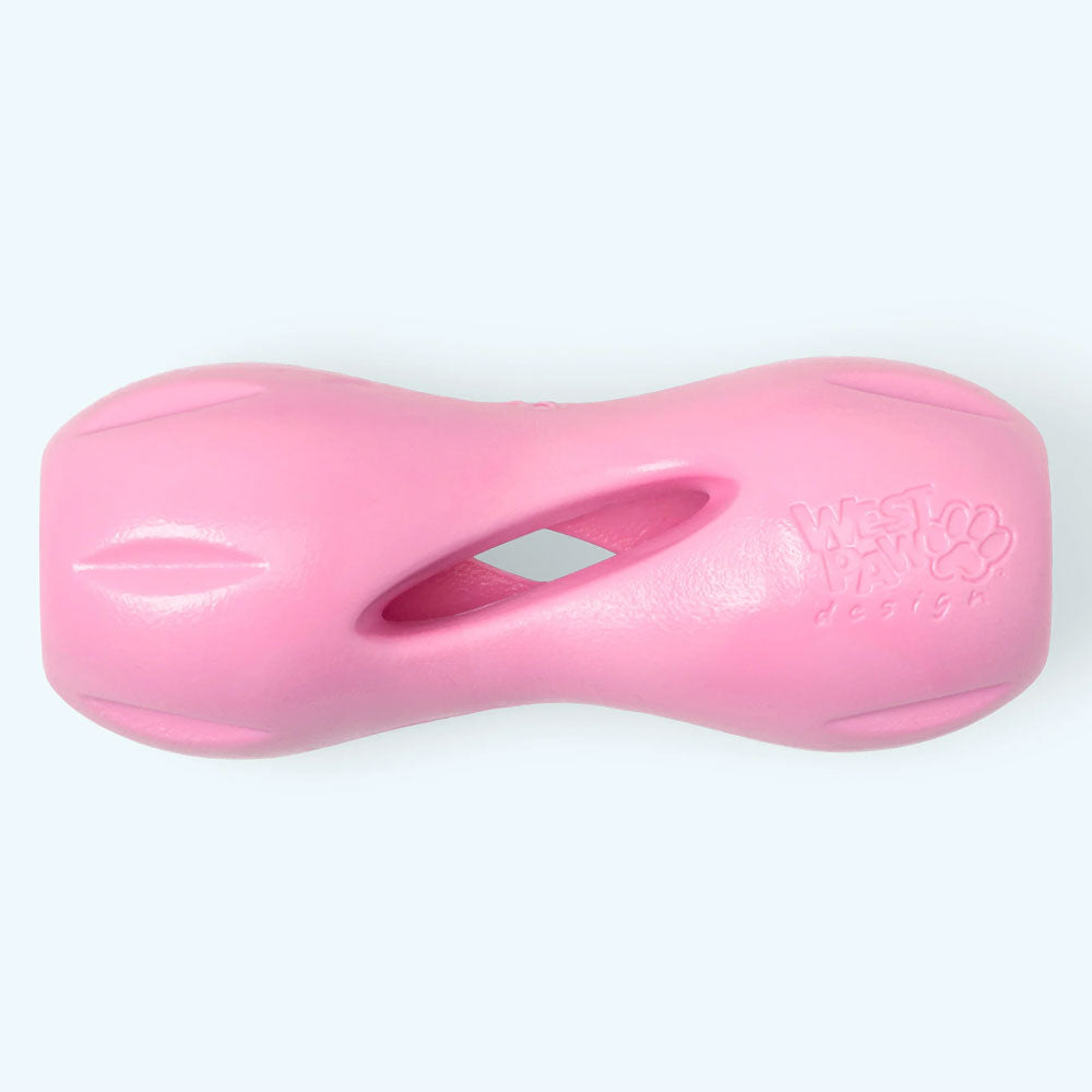 Qwizl Treat Toy Large