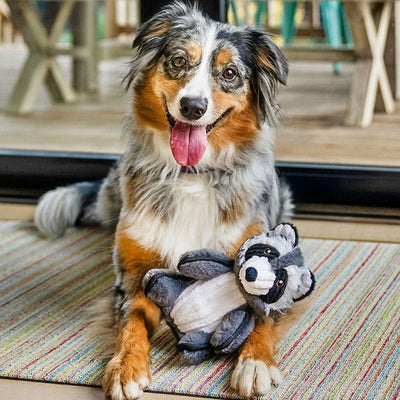 Robby The Raccoon Dog Toy