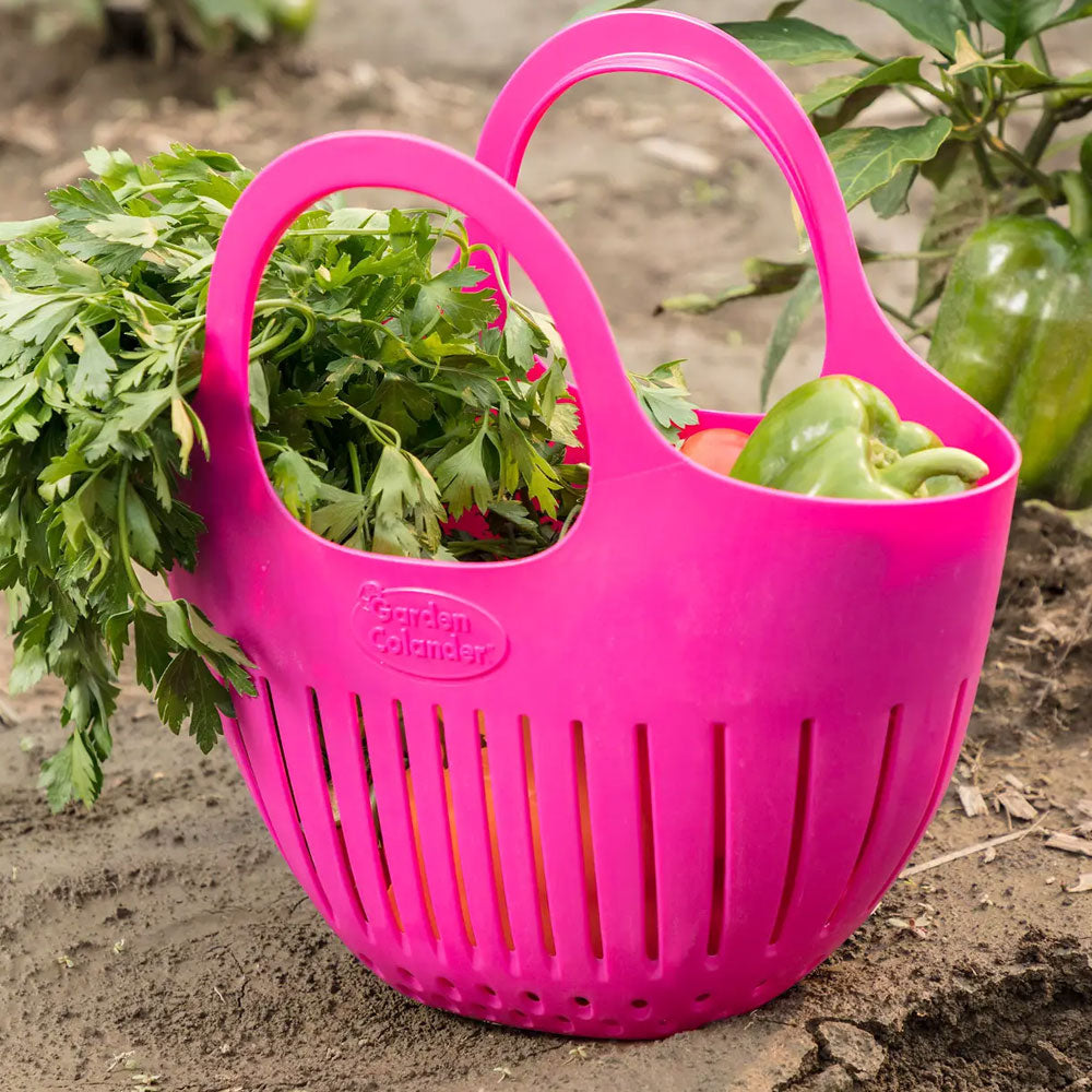 Mini Garden Colander