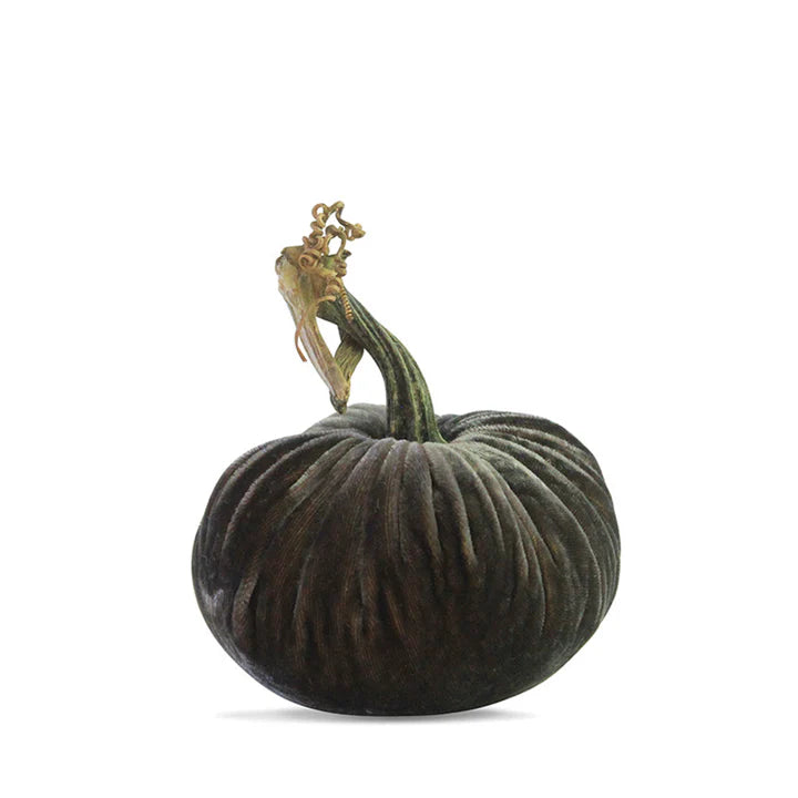 Velvet Pumpkins