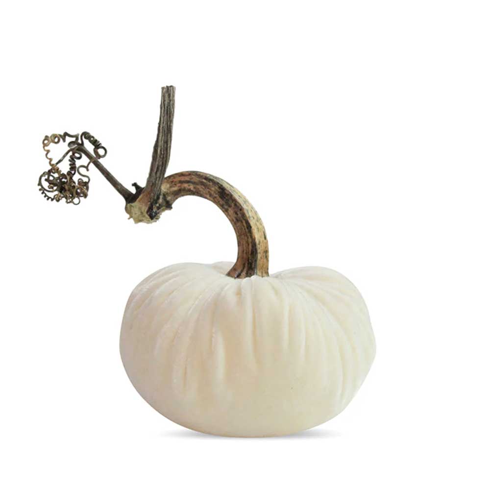 Velvet Pumpkins