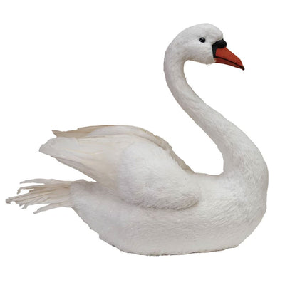 Feathered Swan
