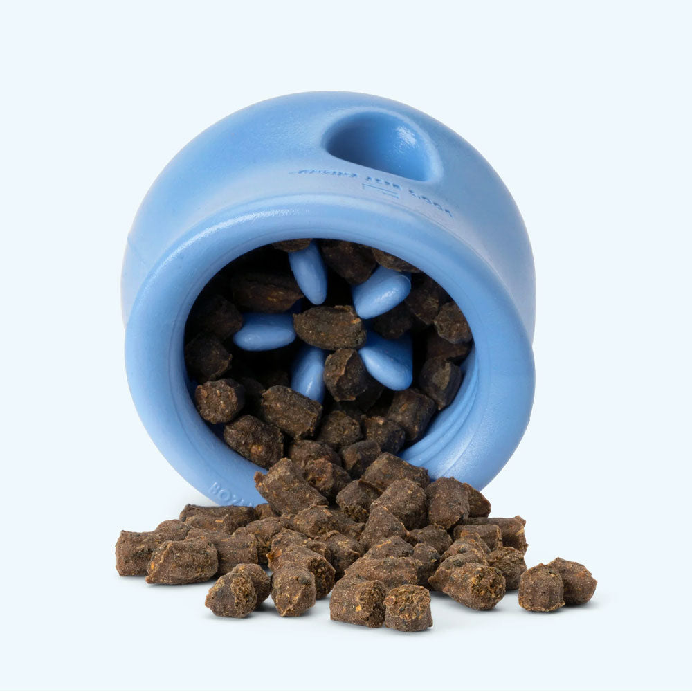 Toppl Treat Toy