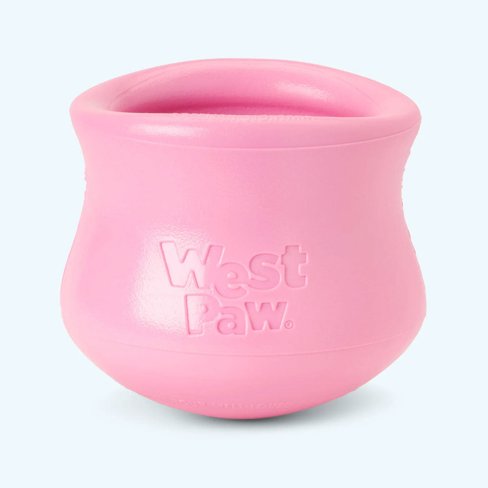 Toppl Treat Toy