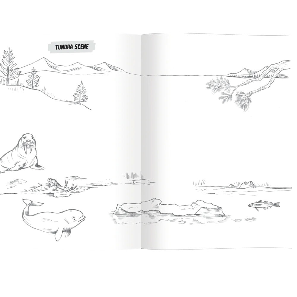 Learn to Draw Wild Animals