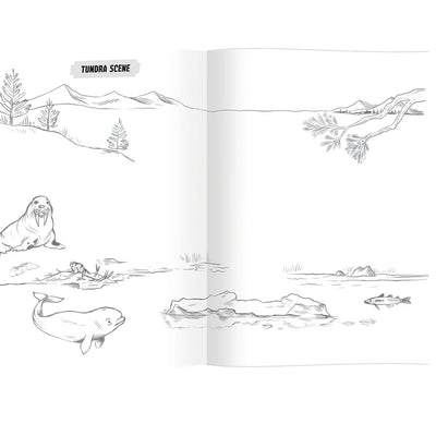 Learn to Draw Wild Animals