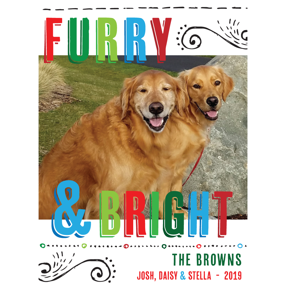 Furry & Bright Holiday Photo Card - Barque Gifts