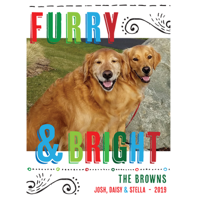 Furry & Bright Holiday Photo Card - Barque Gifts