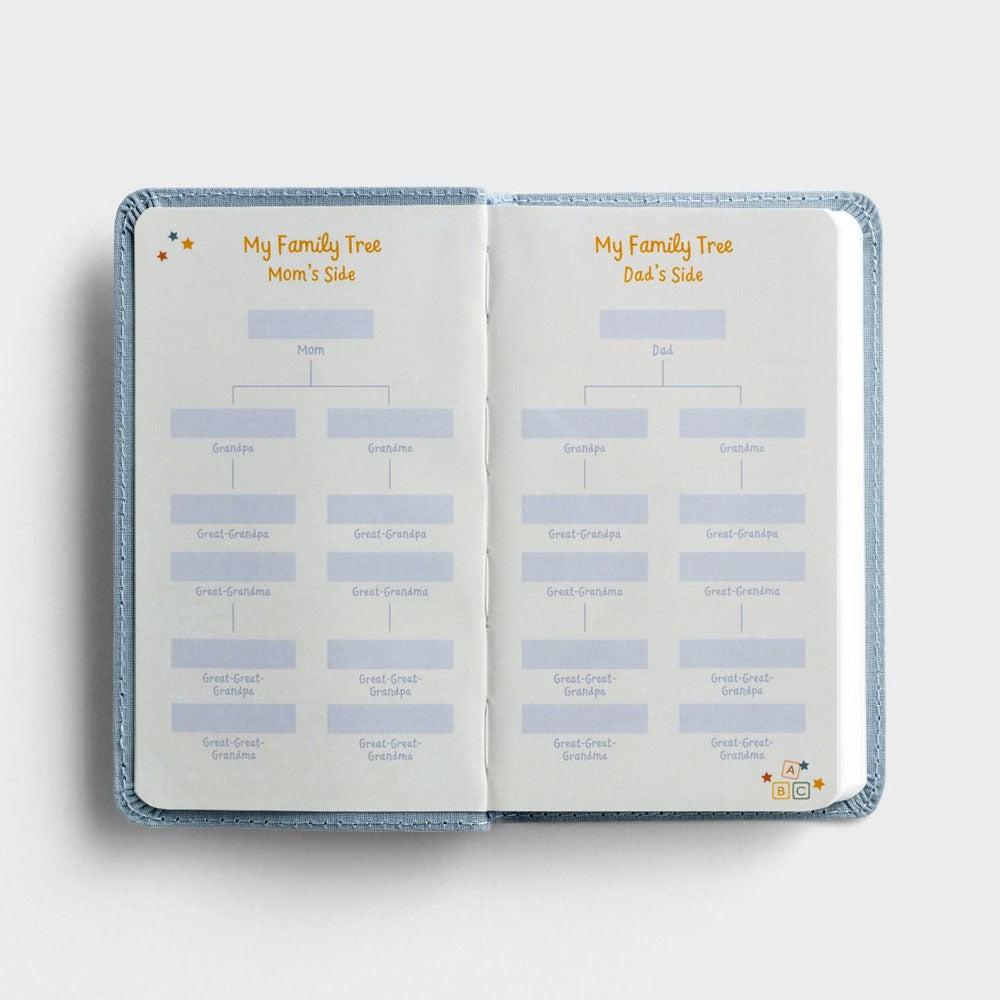 Wonderfully Made - Baby's First Bible