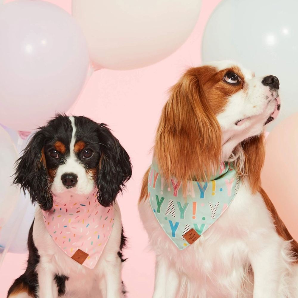 Birthday Yay! Reversible Dog Bandana