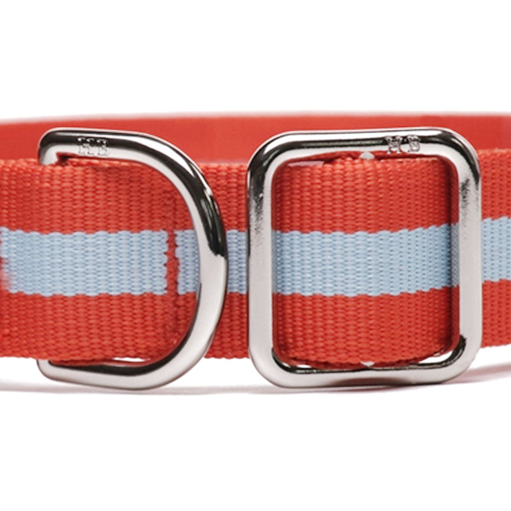 Eton Dog Collar - Barque Gifts