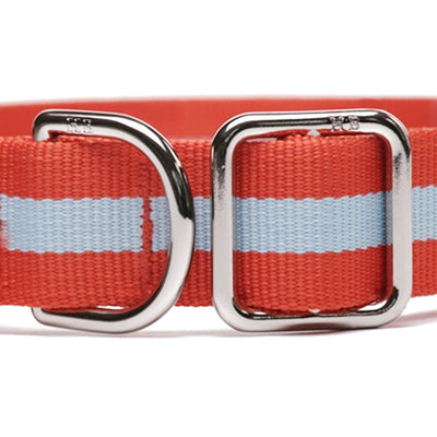 Eton Dog Collar - Barque Gifts