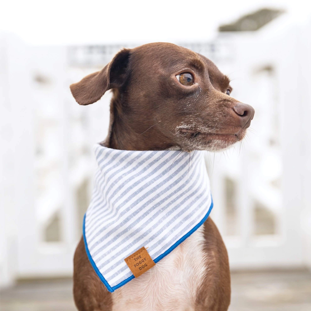 Dusty Blue Stripe Dog Bandana