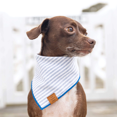 Dusty Blue Stripe Dog Bandana