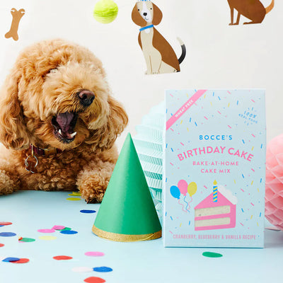 Birthday Cake Mix for Dogs