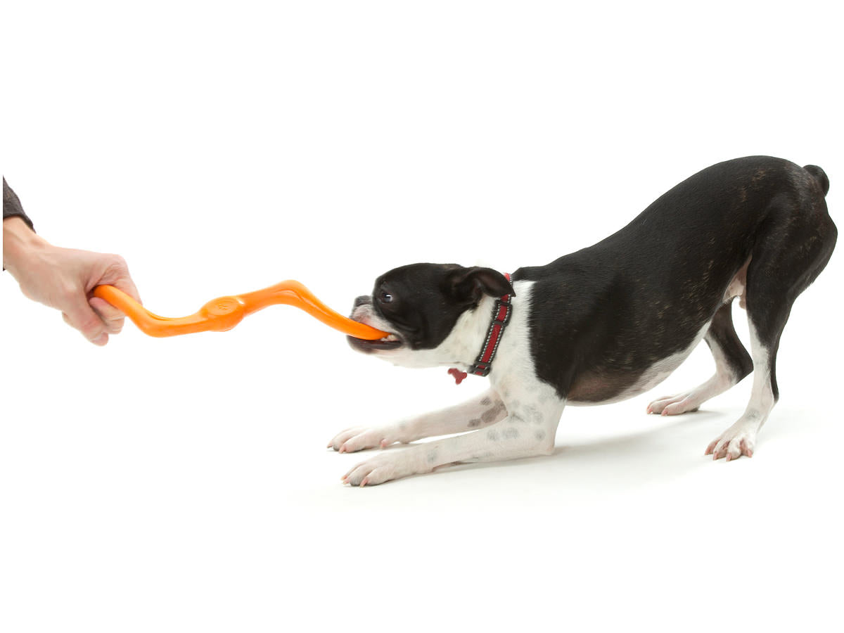 Bumi Dog Toy - Barque Gifts