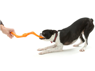Bumi Dog Toy - Barque Gifts