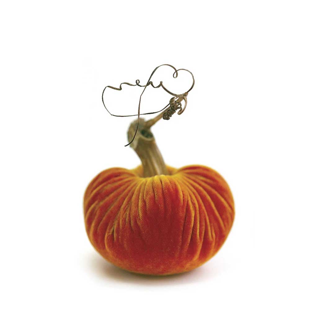 Velvet Pumpkins - Barque Gifts