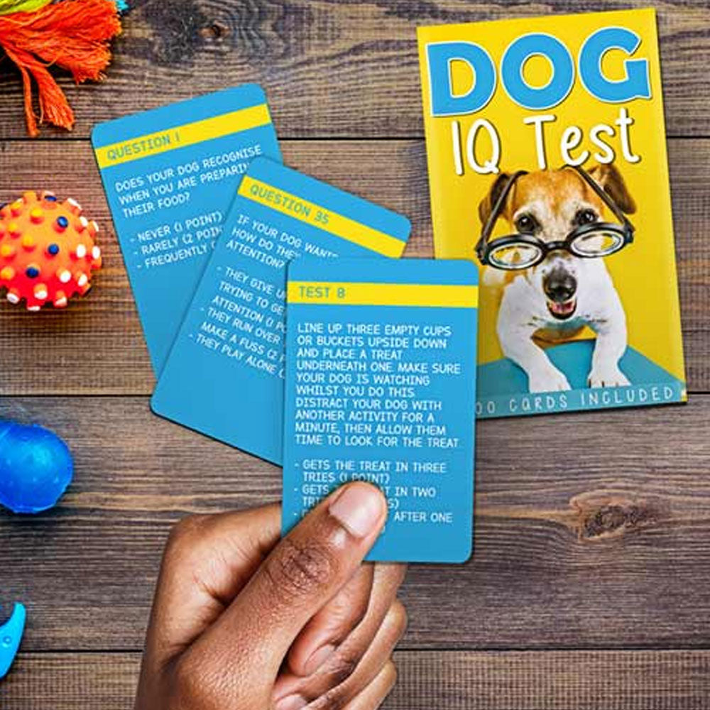 Dog IQ Test