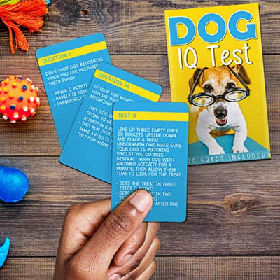 Dog IQ Test