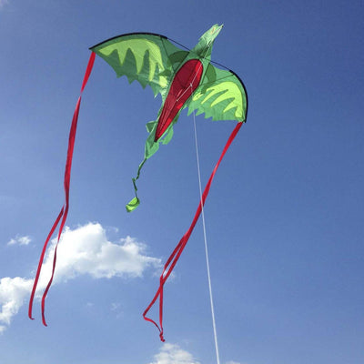 Winged Dragon Shaped Kite - Barque Gifts