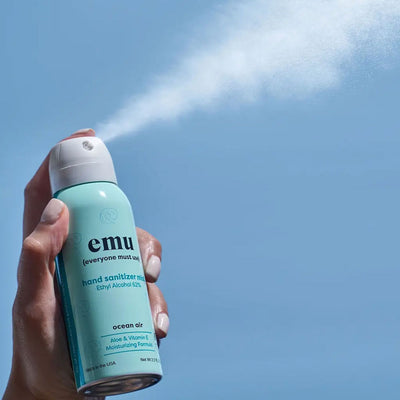 Hand Sanitizer Mist (2.2 oz)