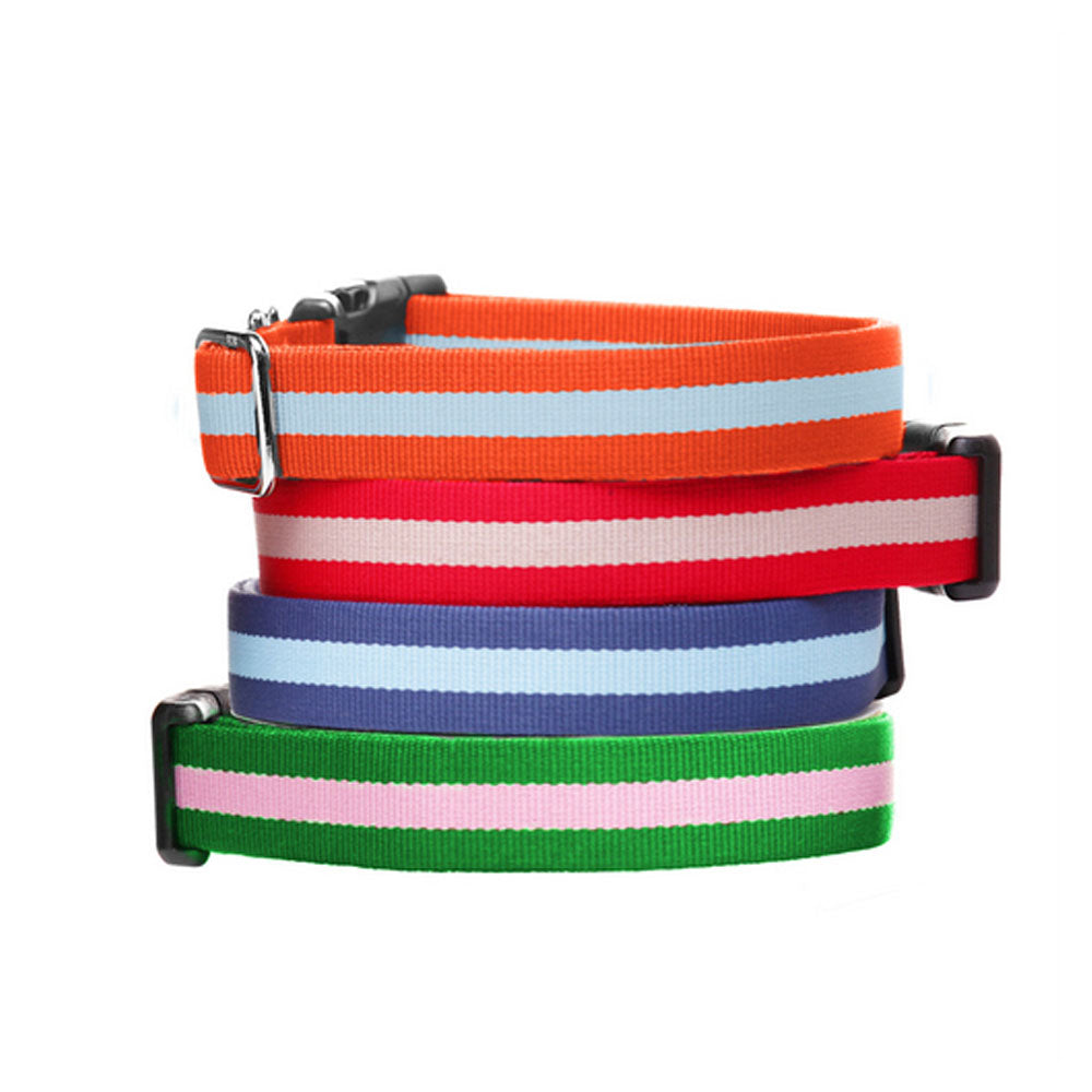 Eton Dog Collar - Barque Gifts