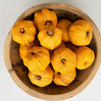 Dried Miniature Faux Pumpkins (bag of 15)