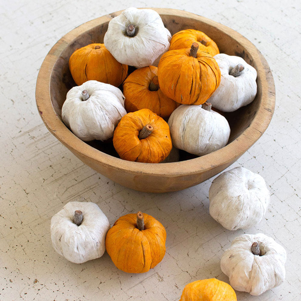 Dried Miniature Faux Pumpkins (bag of 15)
