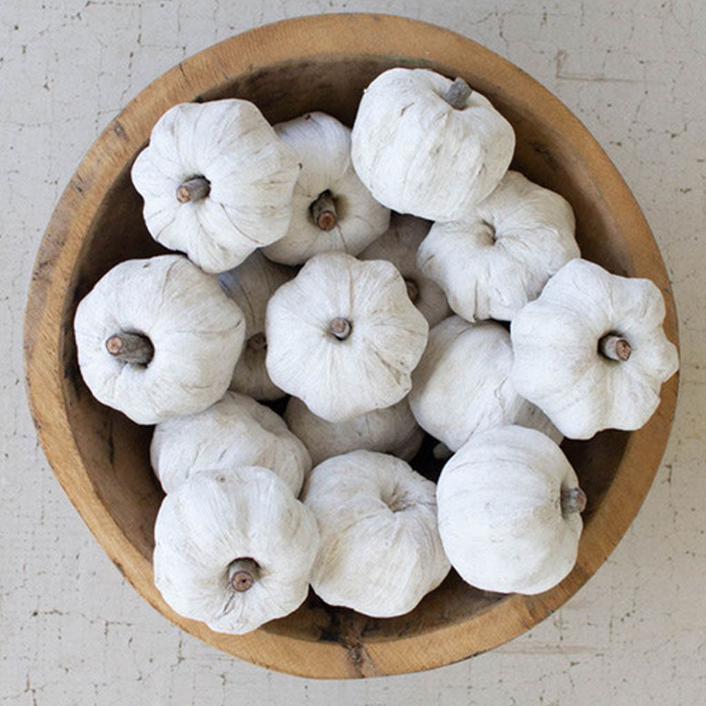 Dried Miniature Faux Pumpkins (bag of 15)