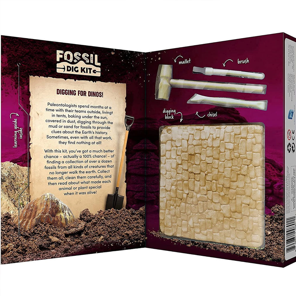 Mega Fossil Dig Kit