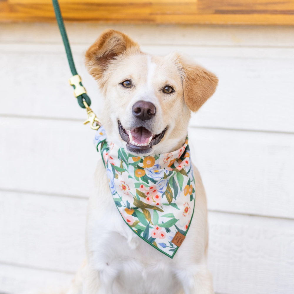 Gathered Dog Bandana