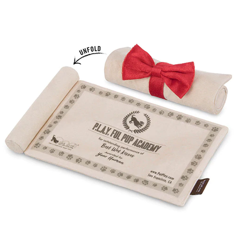 Grrraduation Cap & Scroll Dog Toy