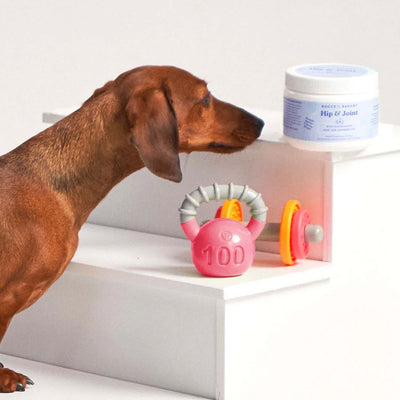 Hip and Joint Supplements