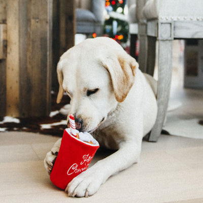 Hot Chocolate Dog Toy
