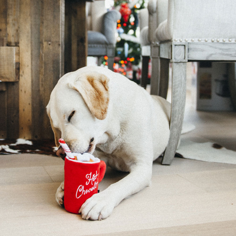 Hot Chocolate Dog Toy