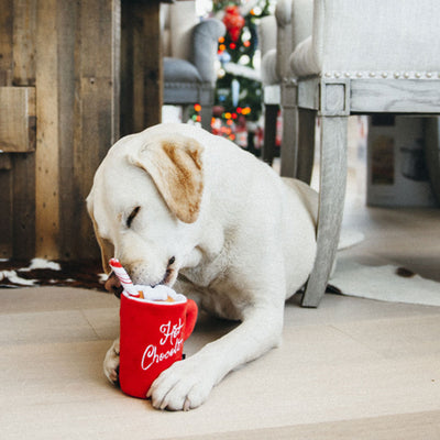 Hot Chocolate Dog Toy