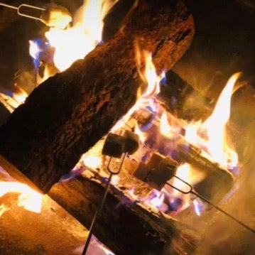 Fire Roasting Sticks (set of 12) - Barque Gifts
