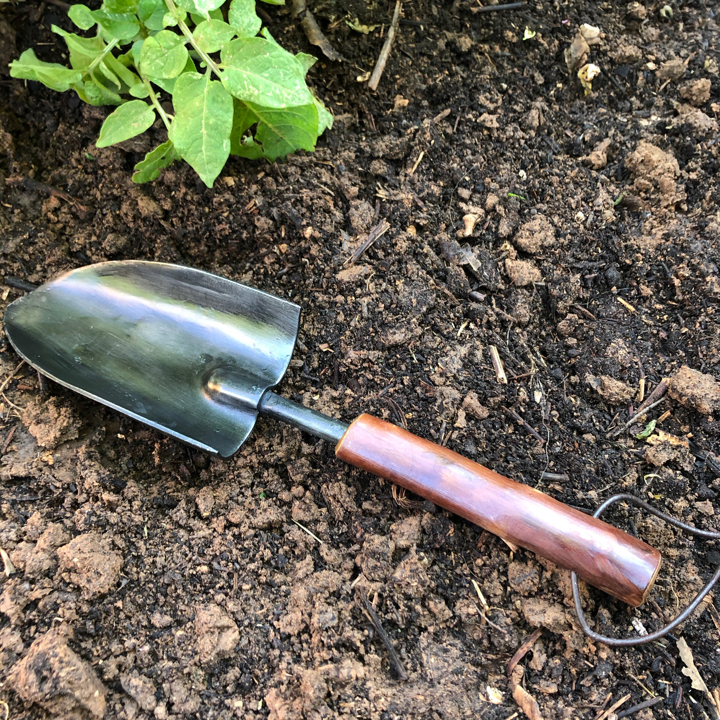 Garden Trowel - Barque Gifts