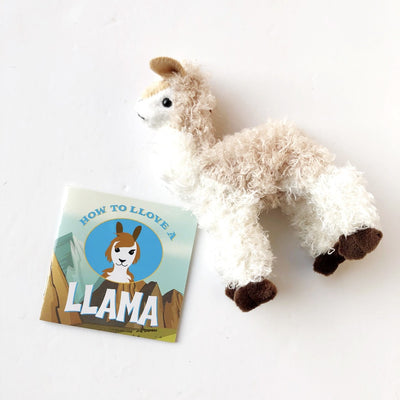 hug a sloth kit on barquegifts.com