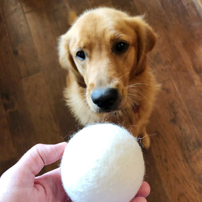 Wool Dryer Balls (Set of 6) - Barque Gifts