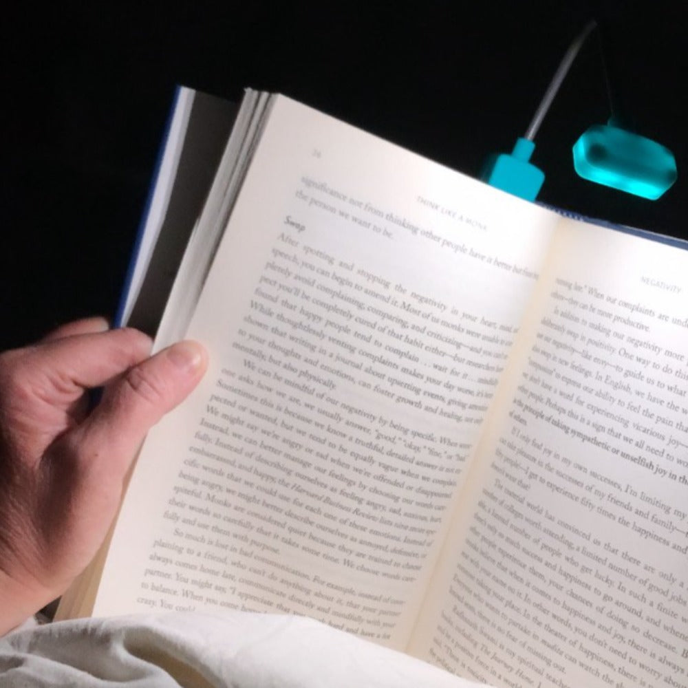 compact book light on barquegifts.com