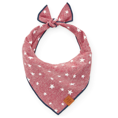 Lucky Stars Dog Bandana