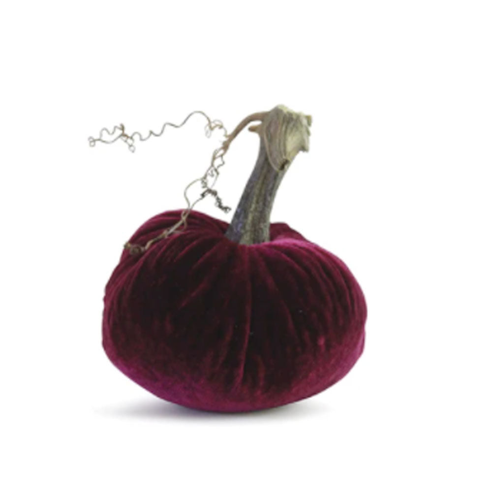 Velvet Pumpkins
