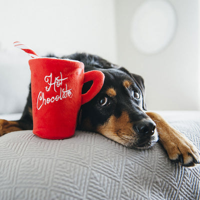 Hot Chocolate Dog Toy