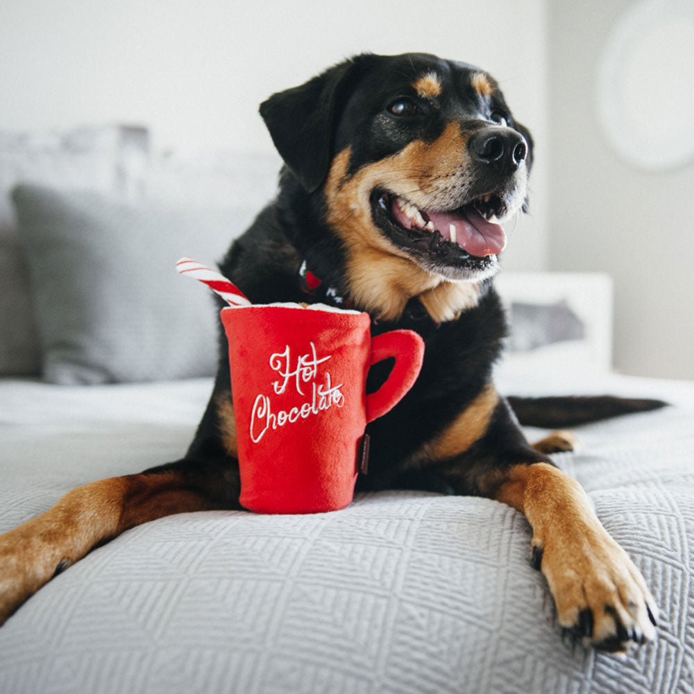 Hot Chocolate Dog Toy