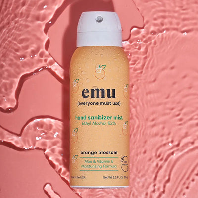 Hand Sanitizer Mist (2.2 oz)