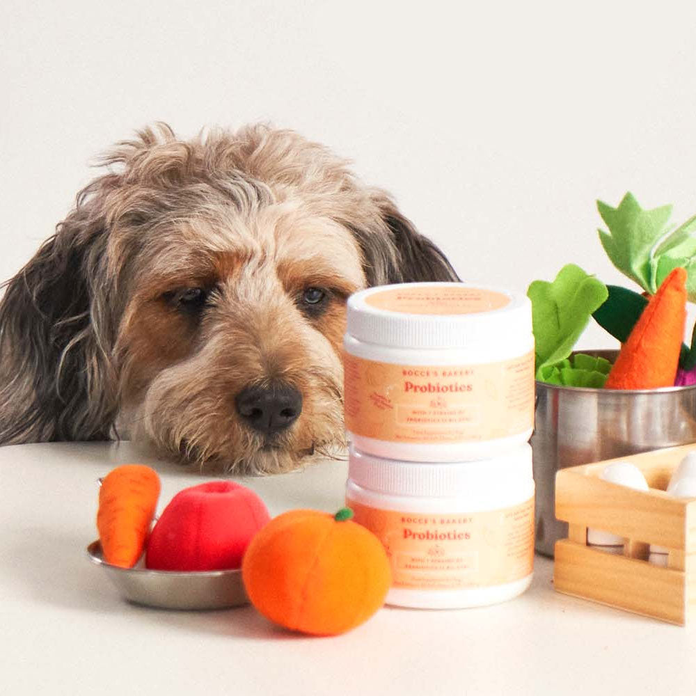 Probiotic Supplements