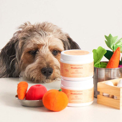 Probiotic Supplements